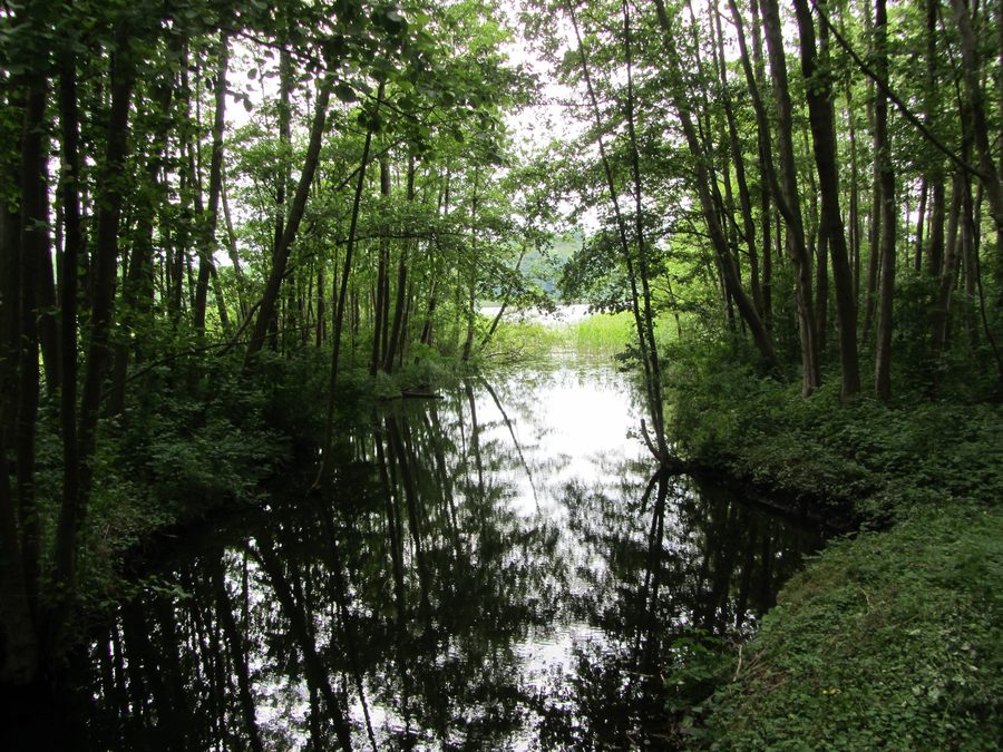 Abfluss des Passower Sees bei Passow im Landkreis Ludwigslust-Parchim
