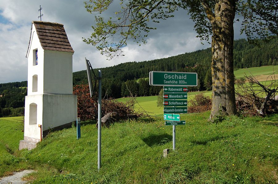 Hügelige, grüne Landschaft am Birkfelder Gschaid in der Steiermark