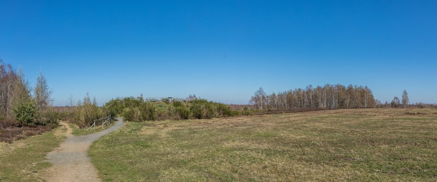 Landschaft im Naturschutzgebiet Drover Heide im Kreis Düren