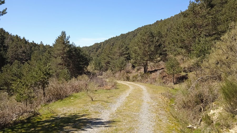 File:Real Sitio de San Ildefonso-El Espinar.jpg