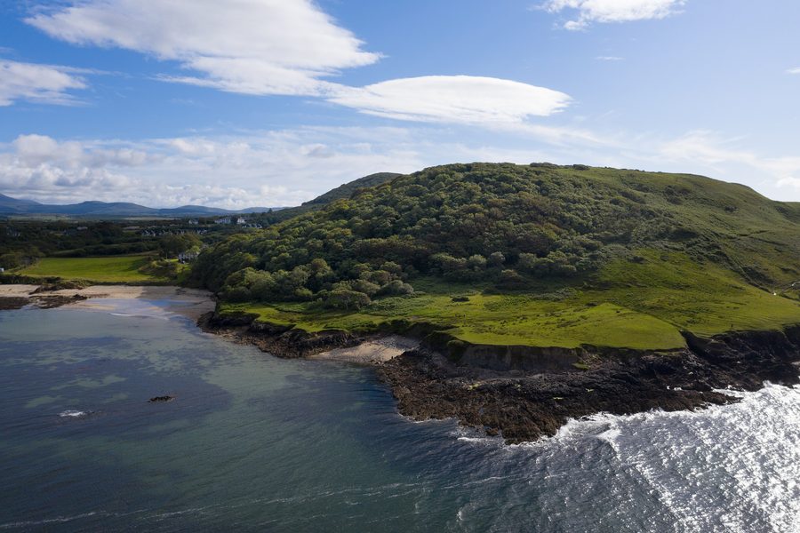 Woodland at Old Head Nature Reserve along the southern edge of Clew Bay, County Mayo