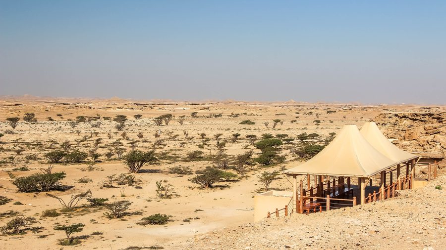 Frankincense landscape in Wadi Dawkah in Dhofar, Oman