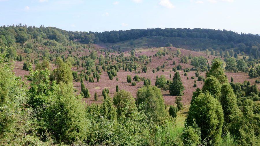 View over the Heidetal Todtengrund near Wilsede