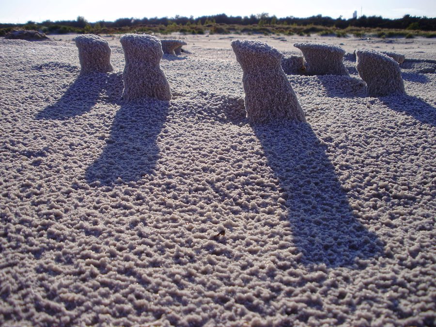 Bornholm’s south coast near Dueodde