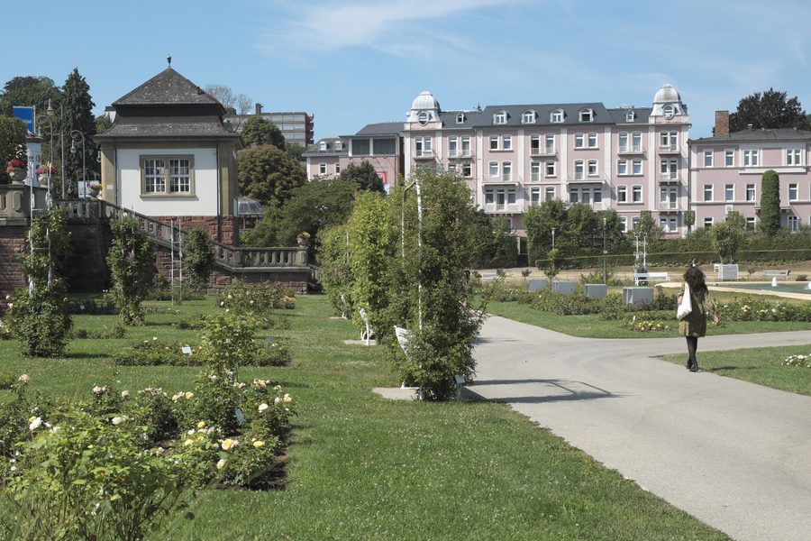 Rosengarten in Bad Kissingen im Landkreis Bad Kissingen in Bayern