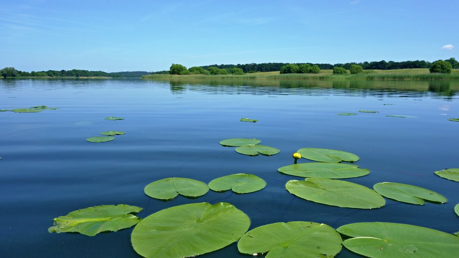 File:Hohen Sprenzer See.jpg