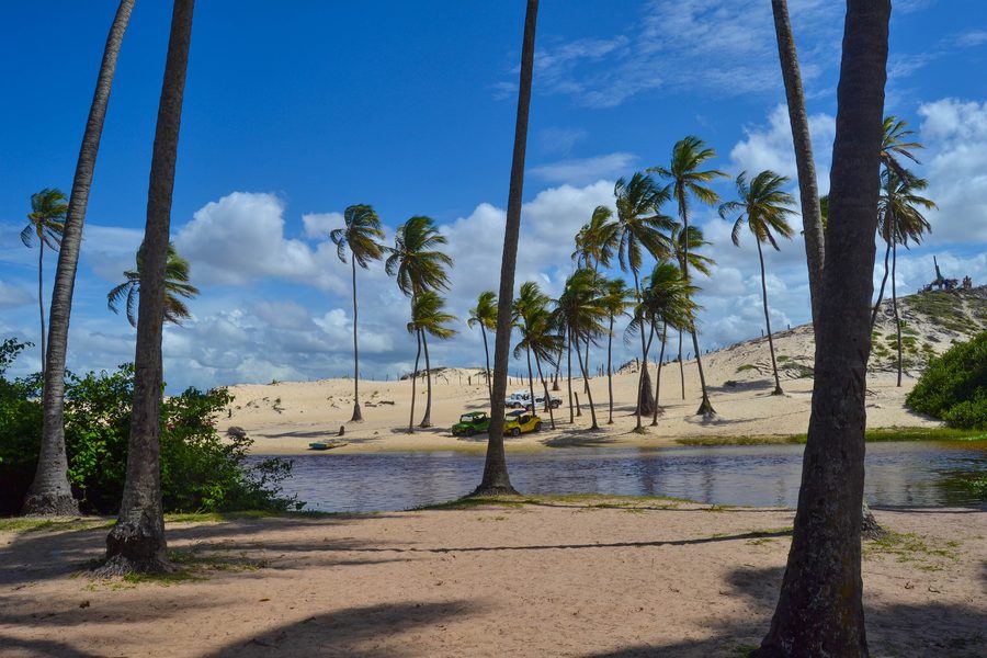 Coconut palms on the Rio Punaú between dunes and the coast
