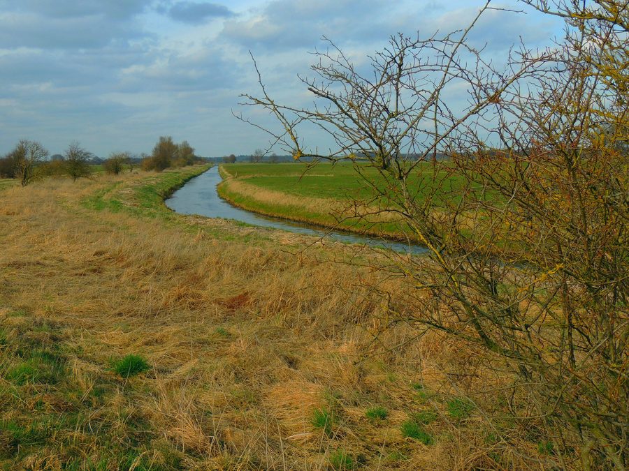 Die Boize bei Valluhn in Mecklenburg-Vorpommern