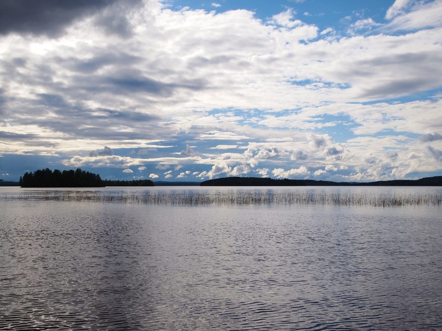 View of Lake Muuratjärvi near Muurame with a wooded shore