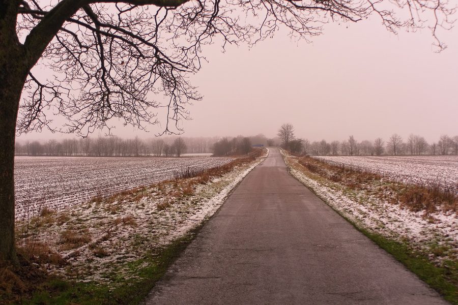 Winterlandschaft bei Tarbek im Landkreis Segeberg in Schleswig-Holstein