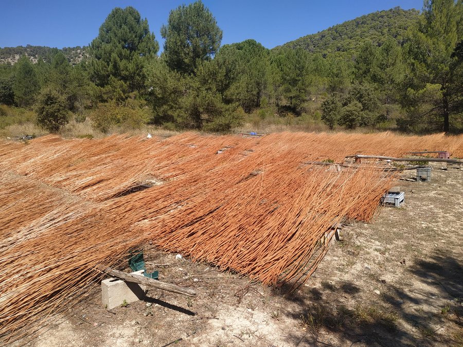 File:Secadero de Mimbre en Cañamares-septiembre 2020.jpg