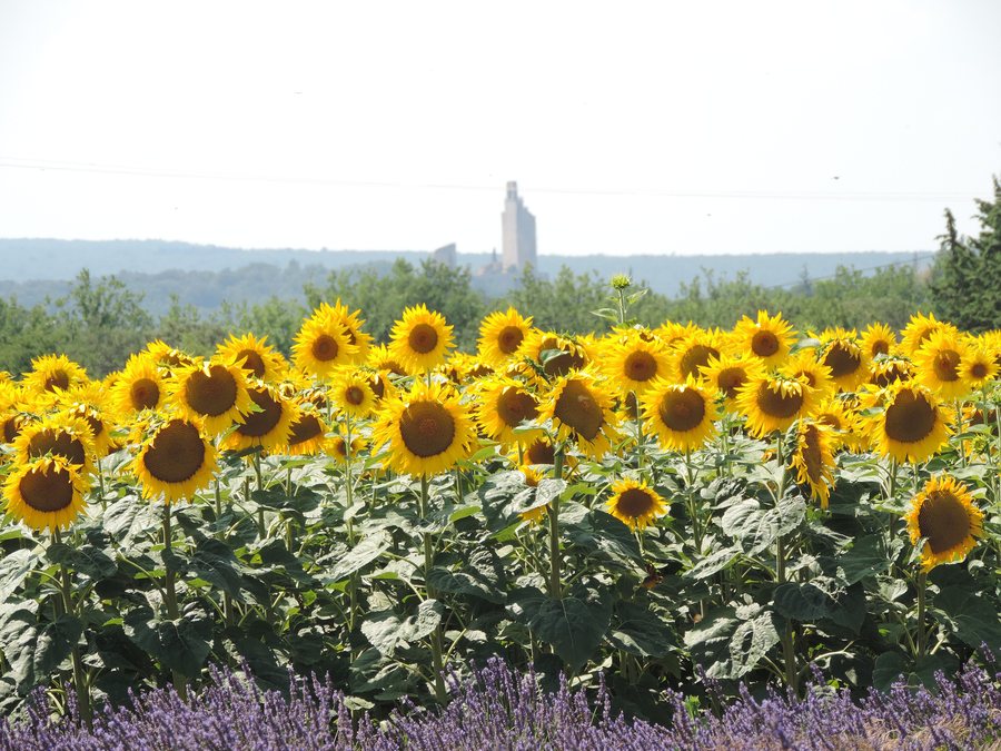 File:France Provence Chamaret 2.JPG