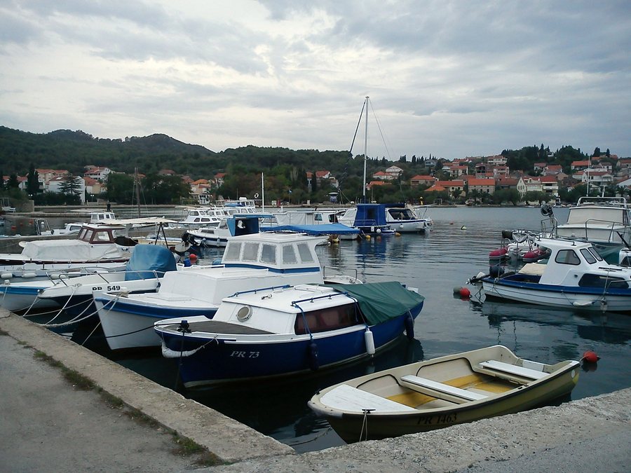 File:D00 558 Luka Lukoran.jpg