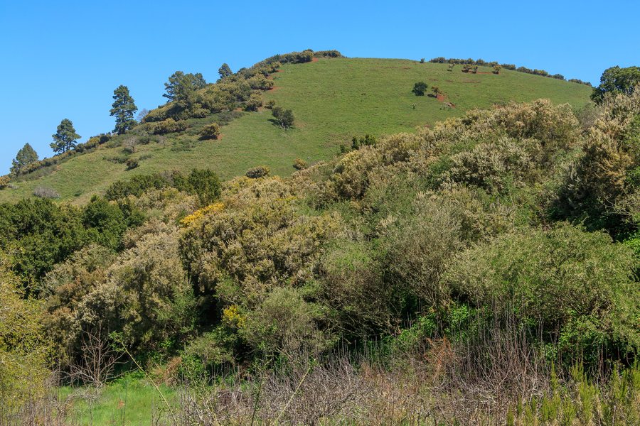 File:Garafía - Hill.jpg