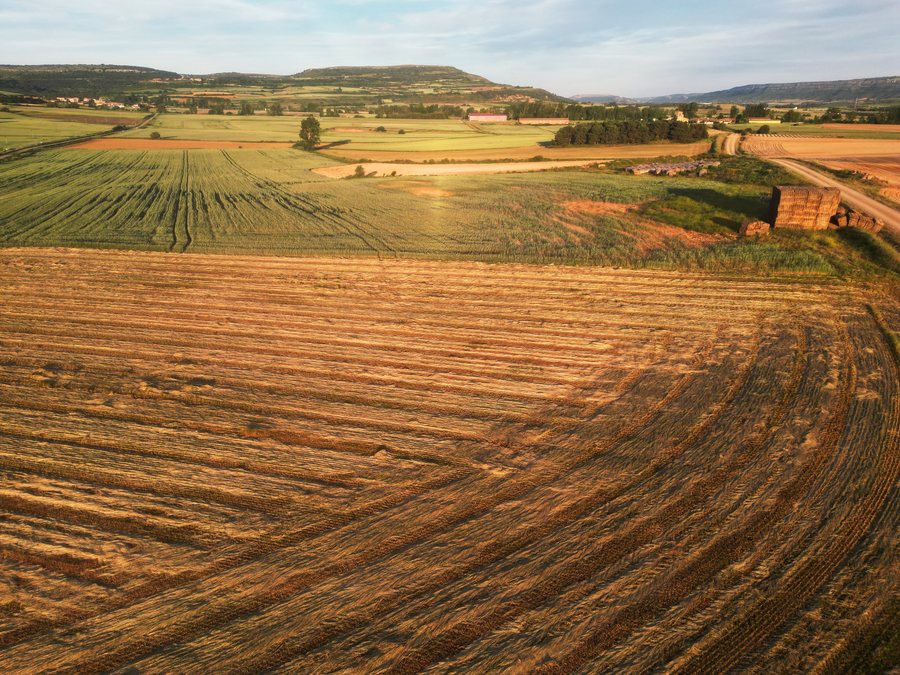 File:Harvested fields at sunset in Pomar de Valdivia, Palencia.jpg