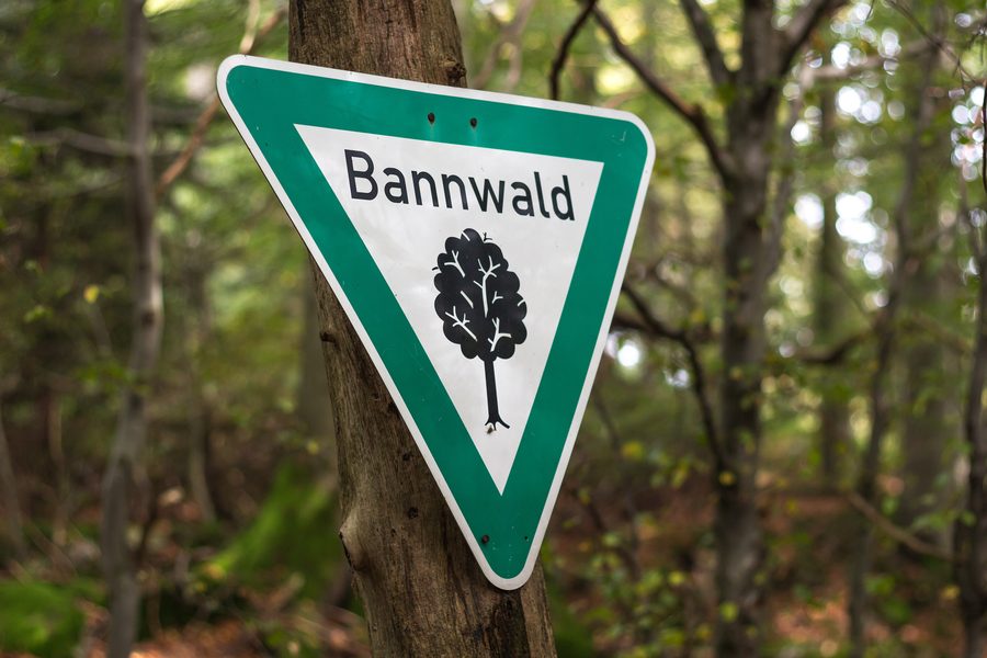 Bannwald-Schild in einem Waldstück beim Frau-Holle-Teich auf dem Hohen Meißner
