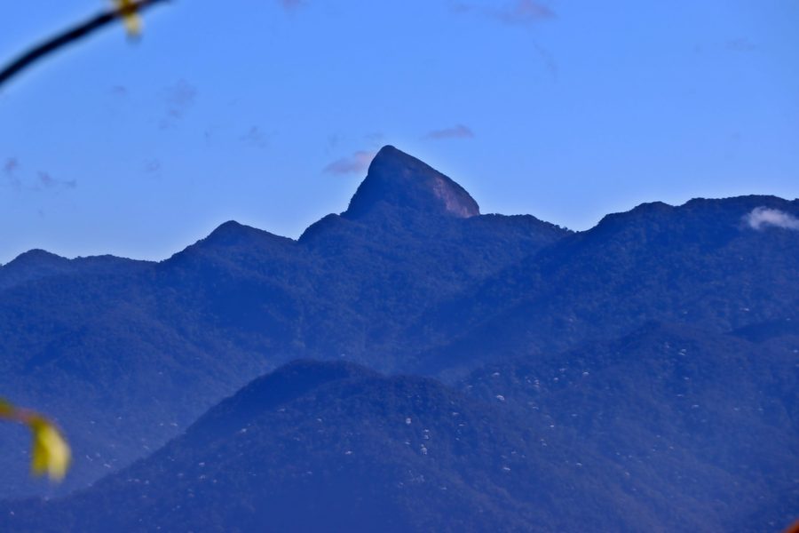 Wooded mountain landscape in the Reserva Biológica do Tinguá