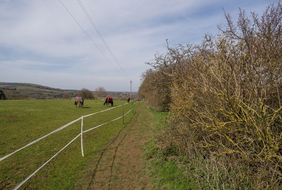 South Downs Way with a view towards Alfriston in East Sussex