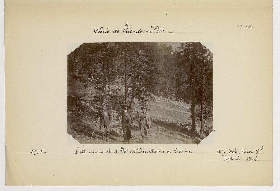 File:Forêt communale de Val-des-Prés (chemin de Granon, emplacement de la baraque basse) - Dole - btv1b10686140w.jpg