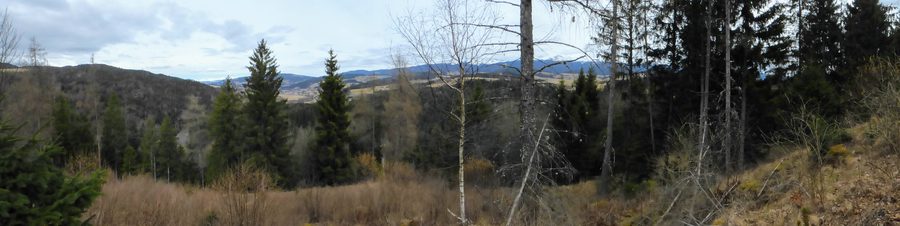 View from Hohenwart ruins across the landscape near Mühlen and the Grebenzen