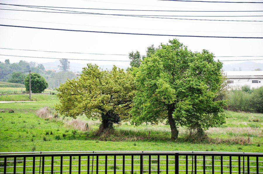 File:M-orejo-paisaje-abril-2021.jpg
