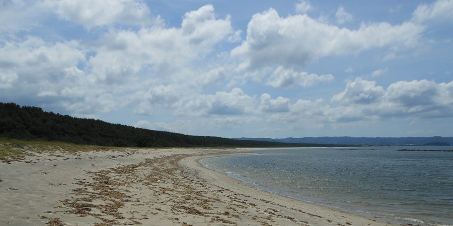 Nijinomatsubara pine forest seen from Hamasaki Beach