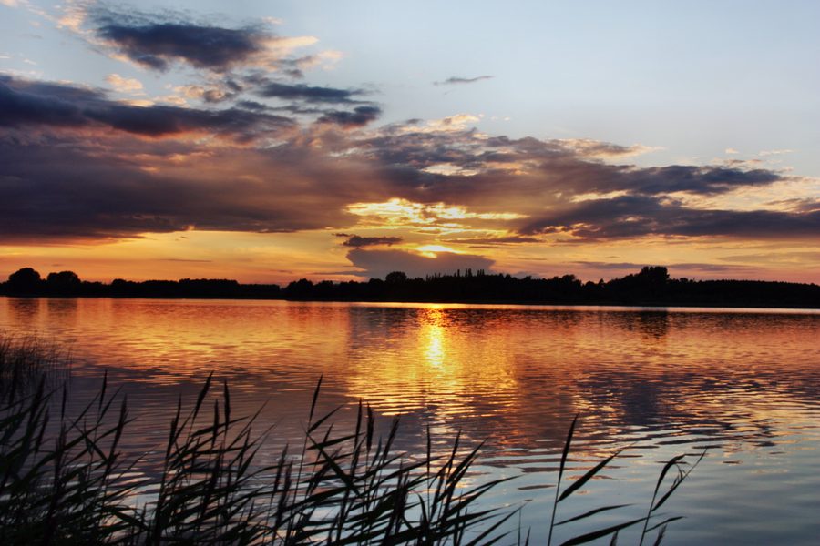 Abendstimmung auf dem Inselsee bei Mühl Rosin