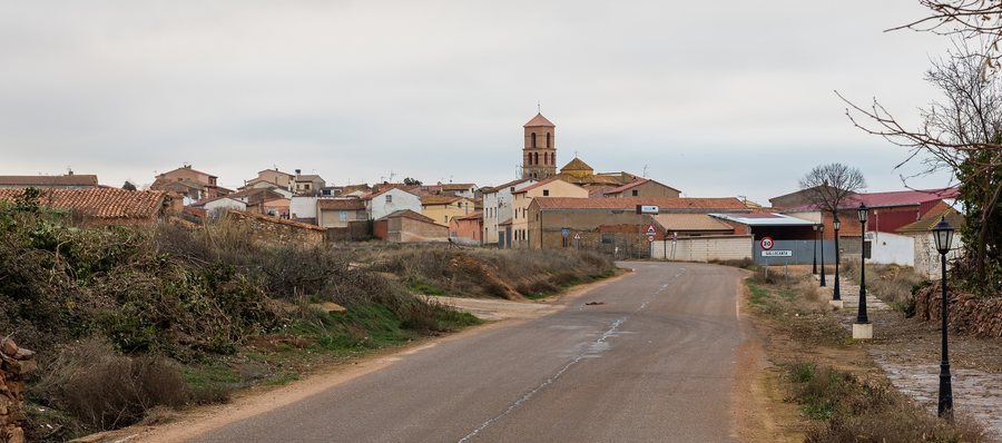File:Gallocanta, Zaragoza, España, 2017-01-04, DD 10.jpg
