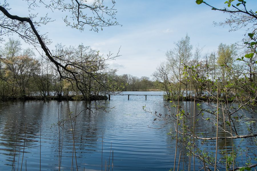 Elsburger Onland from the Groningerweg