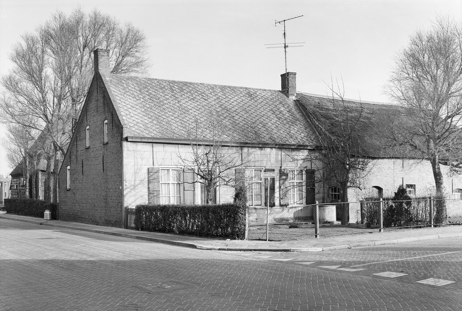Aanzicht van Zegge
