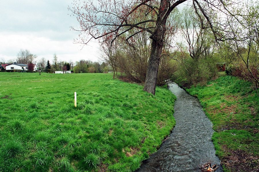 The Sülze in Dodendorf in Sülzetal