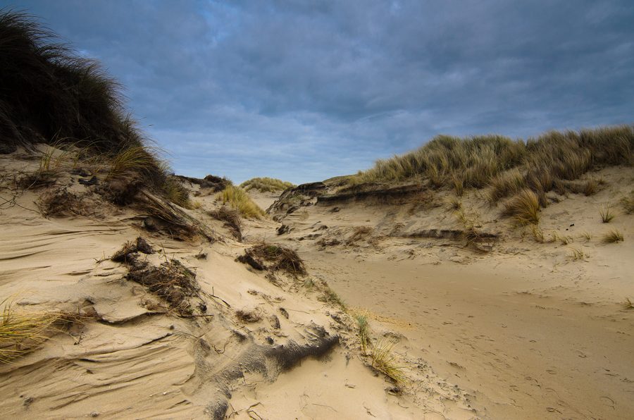 Dune route near Egmond aan Zee with coastal sand and vegetation