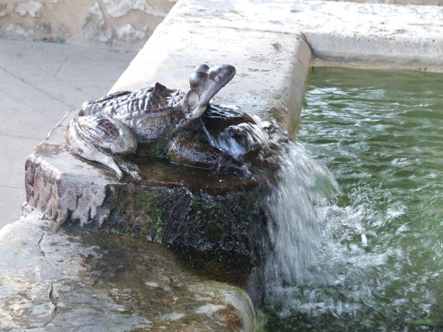 File:Goudargues Lavoir Frog 9193.JPG