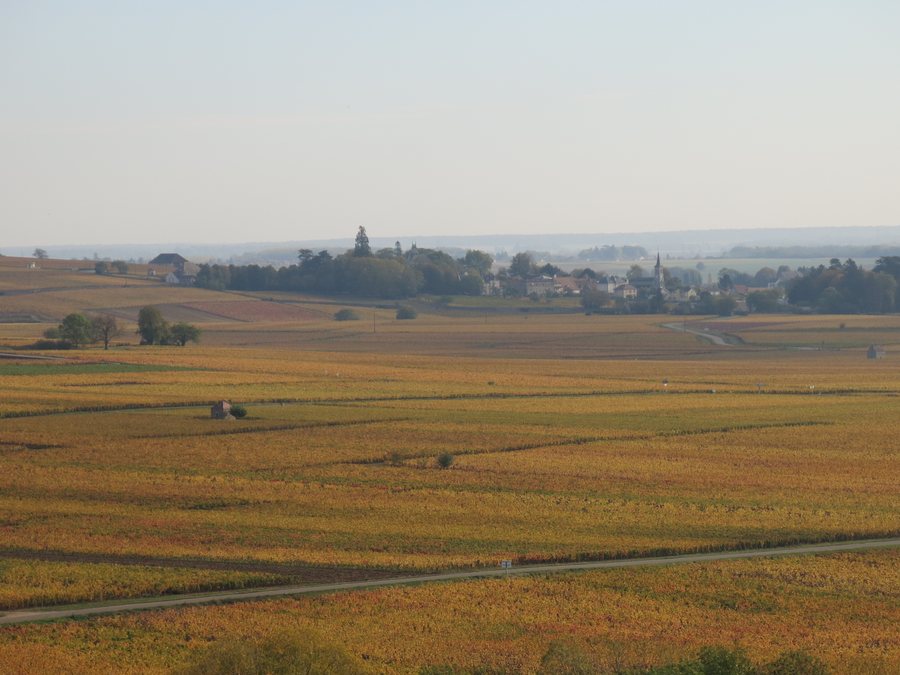 File:Aloxe-Corton vu depuis l'aire de repos de Savigny-les-Beaune.jpg