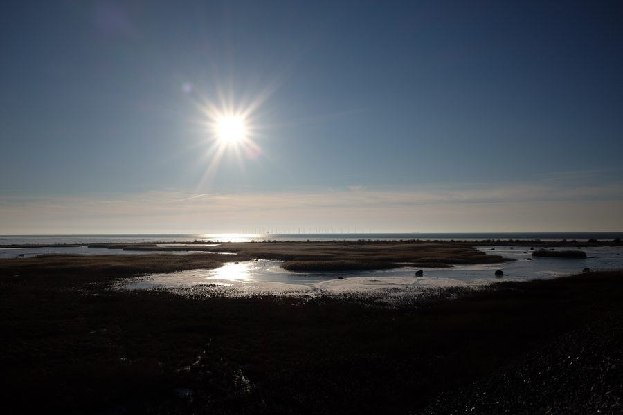 View across the Öresund to Bunkeflo strandängar and Bunkeflostrand