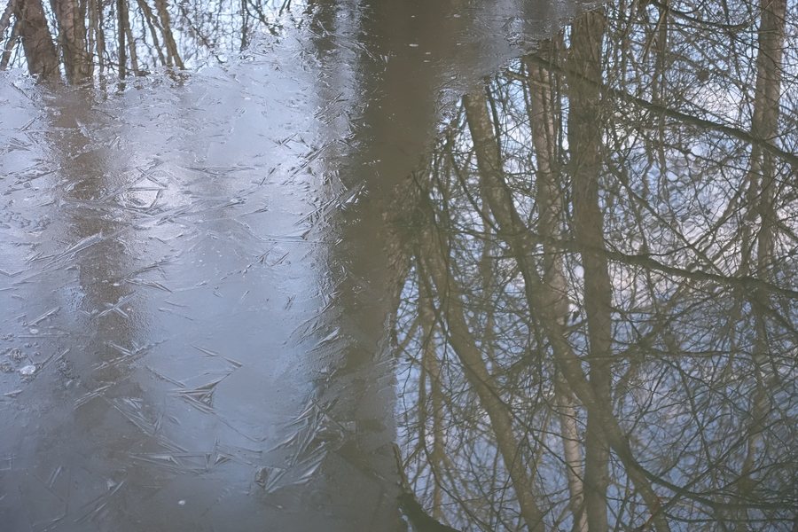 File:Trail along the Deysse river @ Albens @ Entrelacs @ Walk from Rumilly to Albens (31875717547).jpg