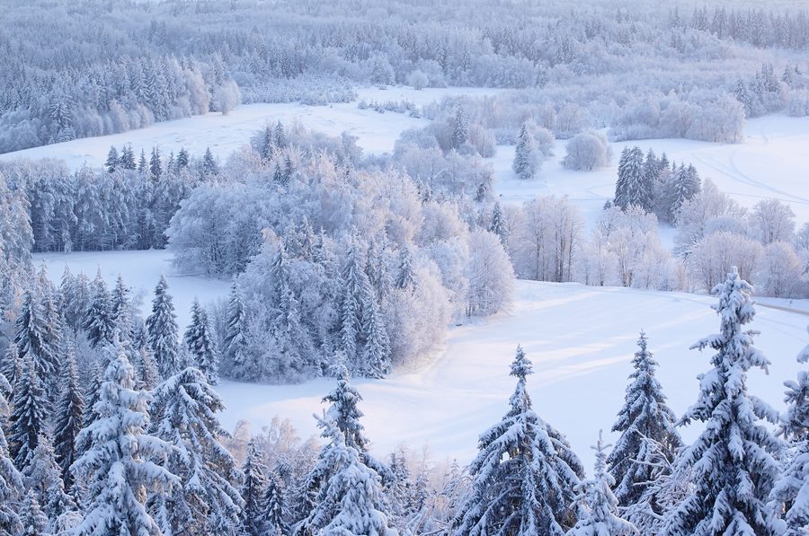 Winter in the Haanja uplands, seen from the viewing tower on Suur Munamägi