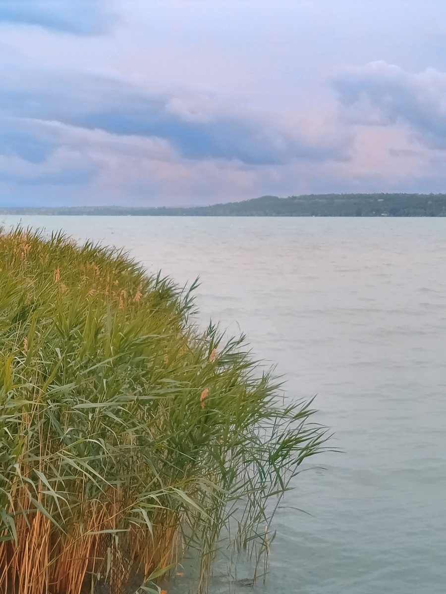 Lake Balaton near Balatonvilágos, Hungary