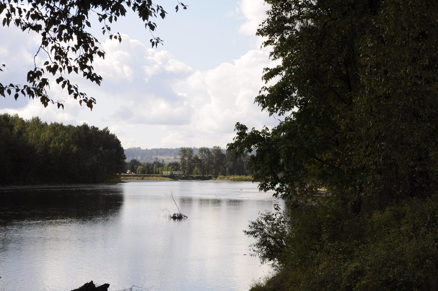 View downstream of the Skykomish River near the Lewis Street Bridge in Monroe, Washington