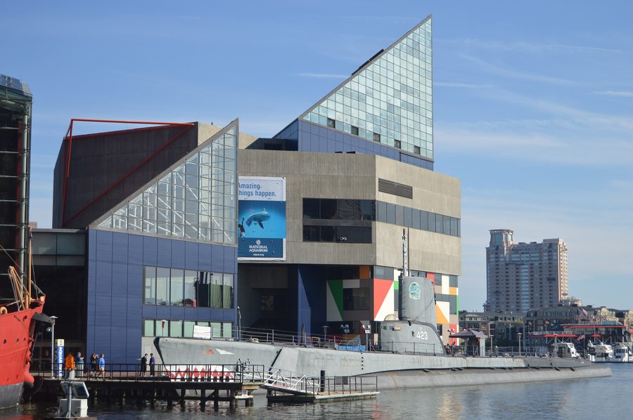 National Aquarium in Baltimore at the Inner Harbor