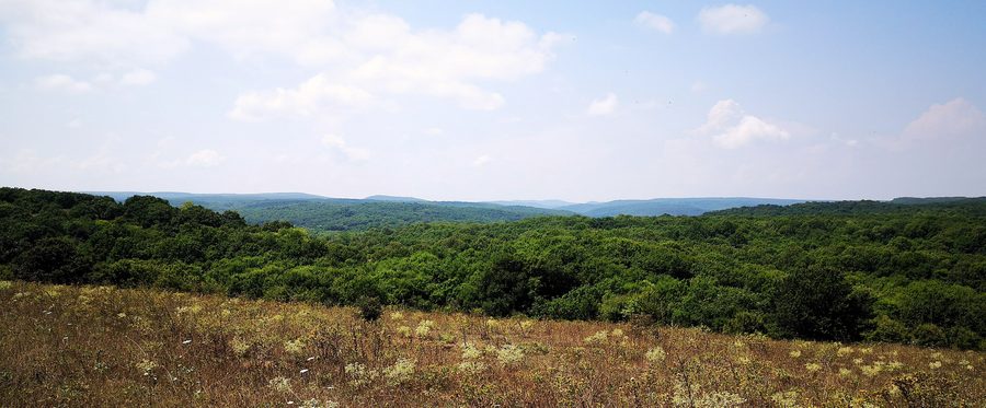 Landschaft des Strandzha-Gebirges in der Oblast Burgas, Bulgarien