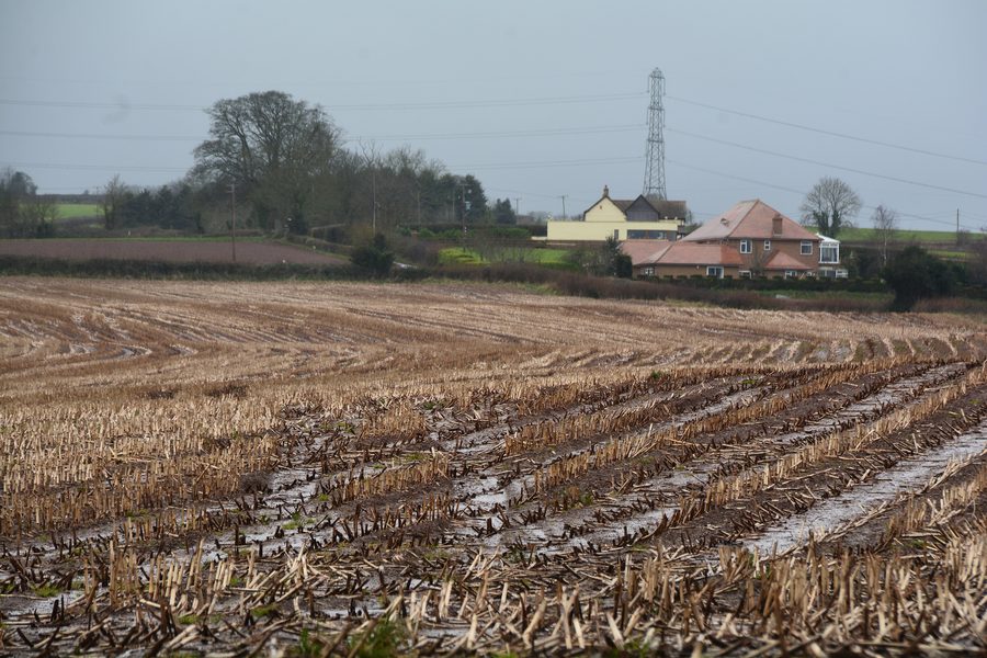 Field near North Petherton