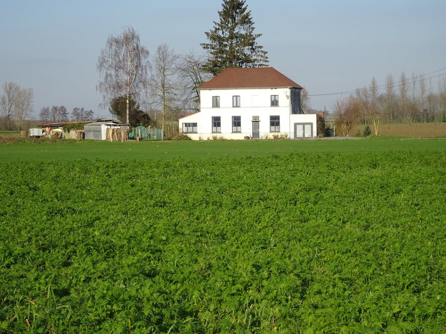 File:Bachy Chemin des Huplières.jpg