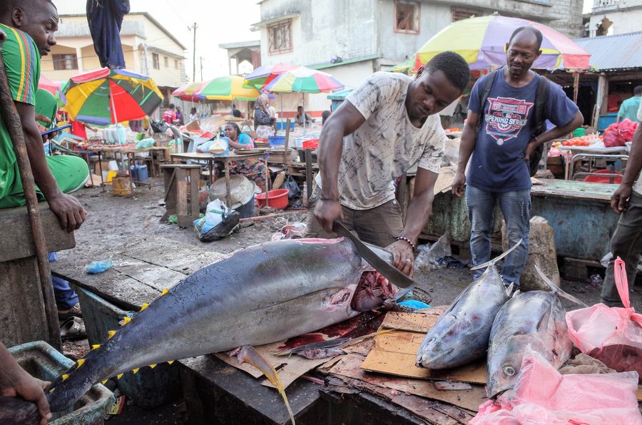 Fish being sold at a market in the Comoros