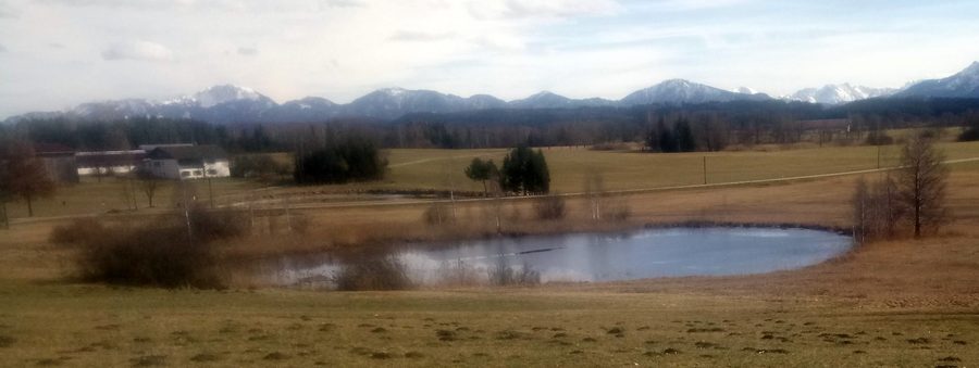 Pond on the Ramseer Bach near Obersöchering in the district of Weilheim-Schongau