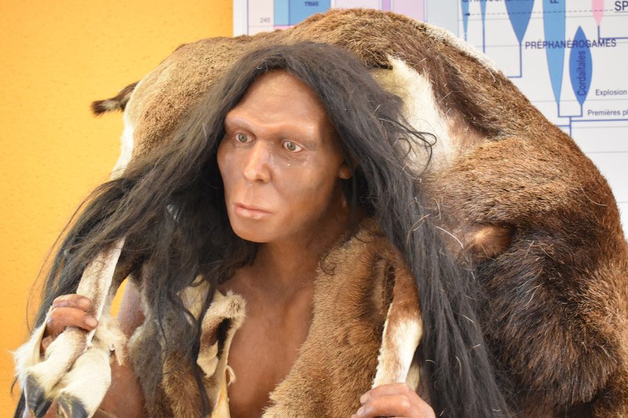 Mannequin of the Tautavel Man