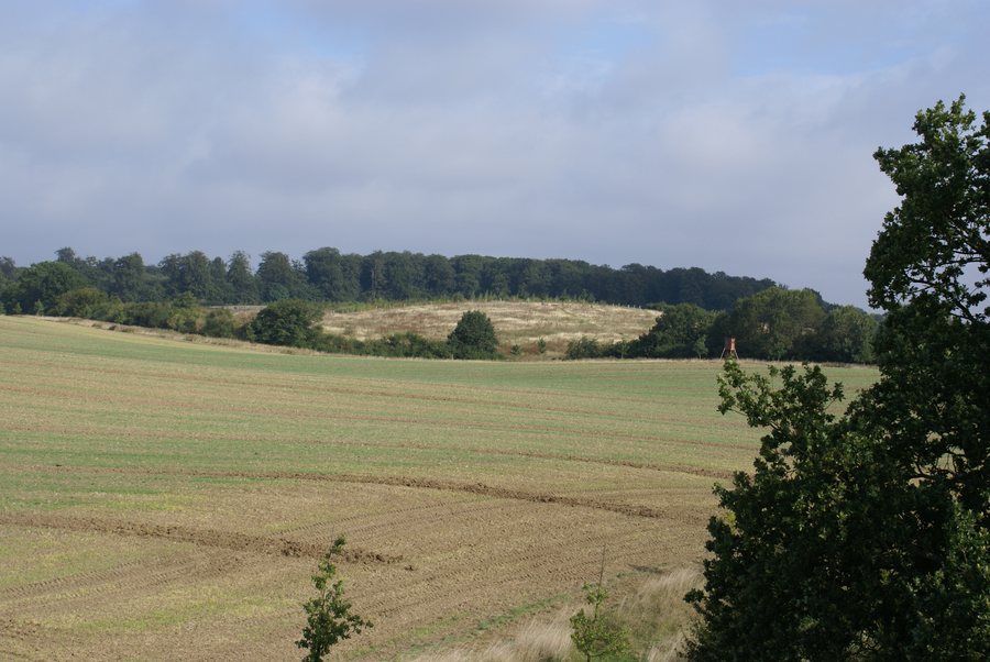 File:LandscapeRieps.JPG