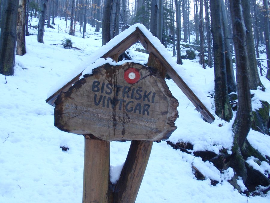 Bistriški vintgar gorge near Slovenska Bistrica