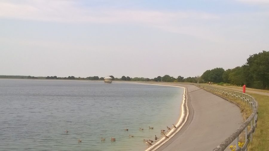 Geeste storage basin with water surface and barnacle geese in the foreground