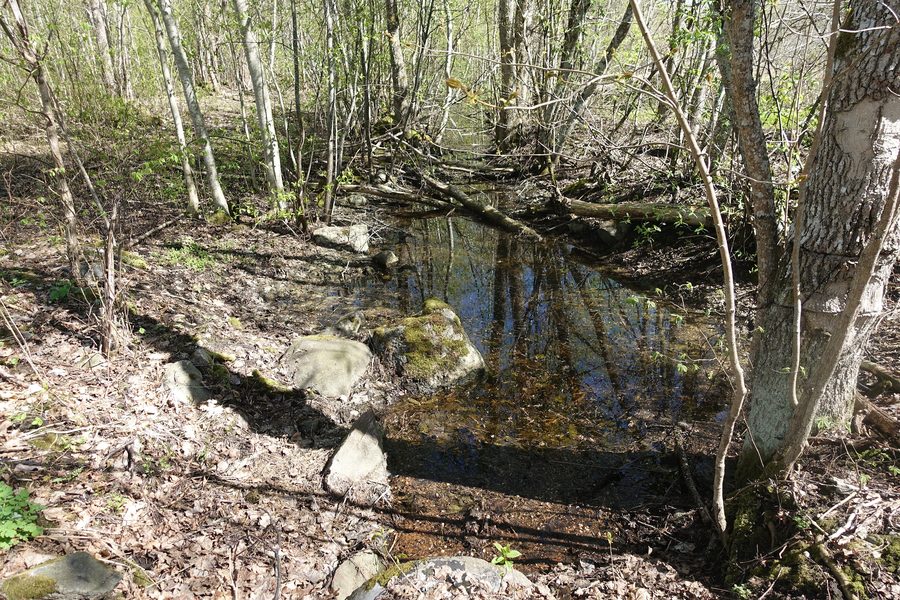 The Vihterpalu River near Vihterpalu